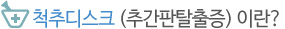 척추디스크란?